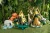 big_FB403_03_S.webp