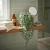 d50465eadc0094c40683e4c54280fd37.png