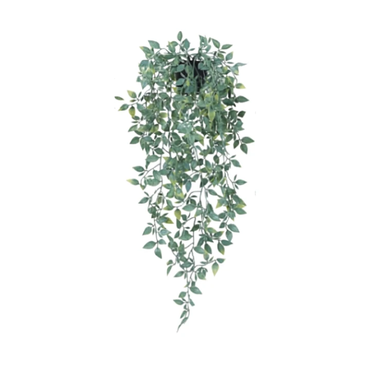 7a327de4b6b99282bf1bb4cb7f00895a.png