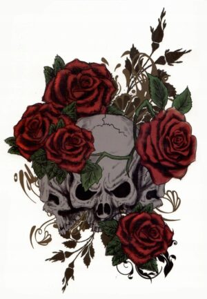 f146b54b6a28ca11f2308783a4714206