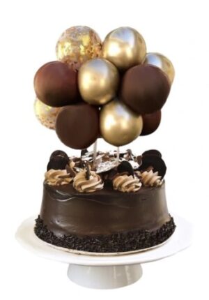 5ca043731c6604e2e99d23b415510fd4