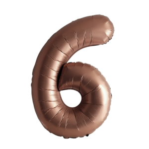 6c27292e564e89a5b6aceec1e4a13914